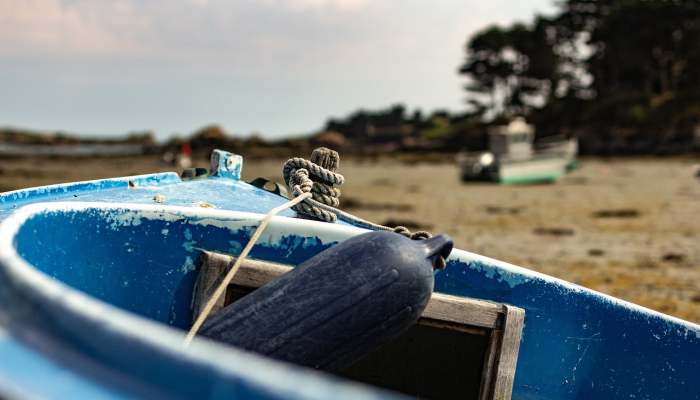 厦门疫情防控名单最新：全面了解防疫最新动态，确保您的安全