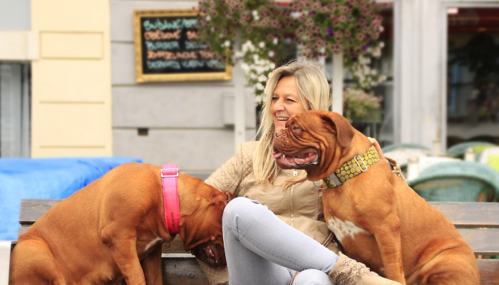 上海市疫情数量图最新：实时了解最新动态，保护健康，共同守护