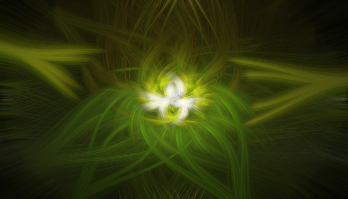 福建省疫情最新排名图：深入解析疫情防控成效与未来展望