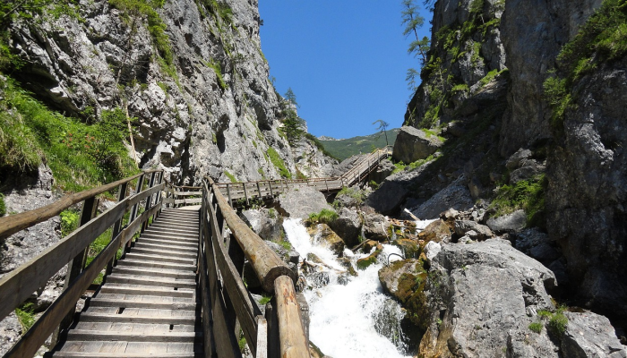 北京疫情实时报道最新：全面掌握疫情动态，为你的健康保驾护航