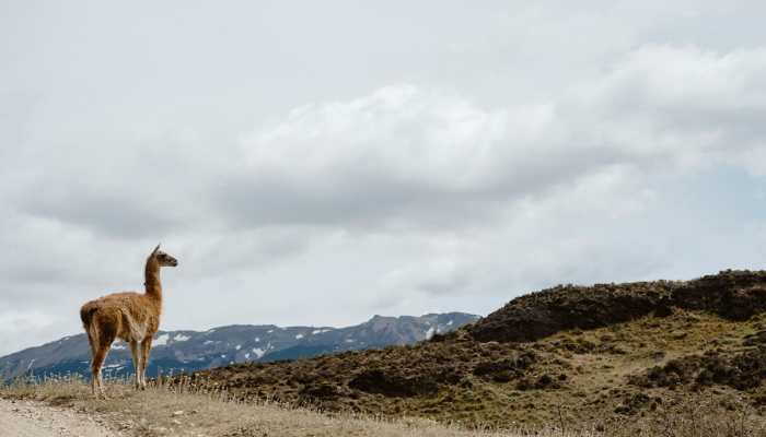 清溪疫情最新通告