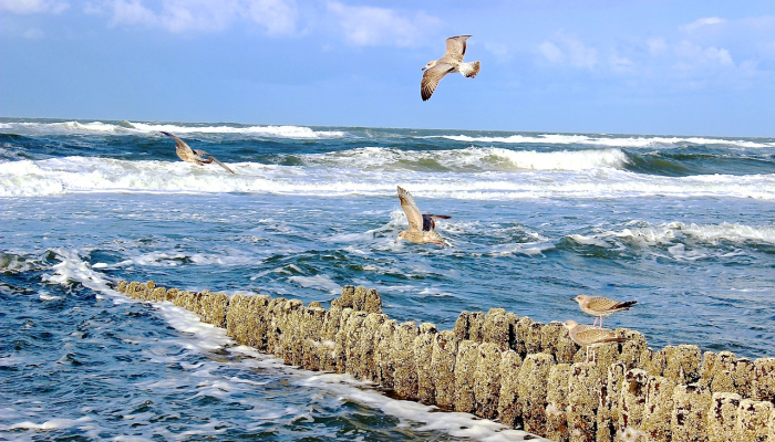 昆山疫情最新结果公布：全面了解最新进展与防控措施