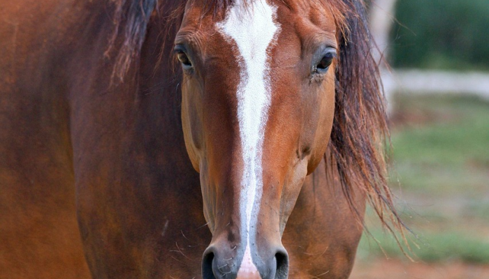 汉台疫情最新：最新动态与防护措施详解
