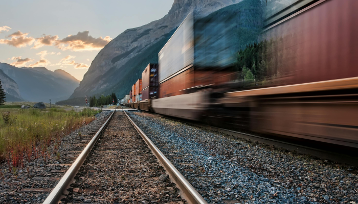 九原最新疫情轨迹：跨越时间与空间的健康战线