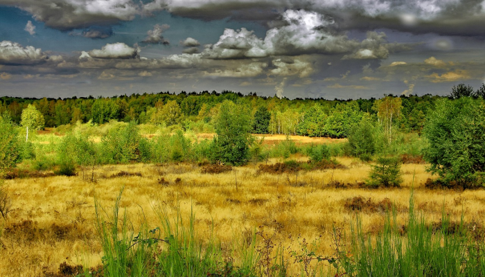 丰宁坝上疫情最新：保护健康，共同努力