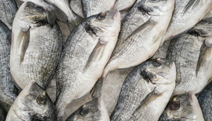 进口带鱼最新疫情：全面揭秘背后的健康隐患与应对策略