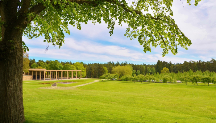 西藏动物疫情最新情况：保护生态，共建绿色家园