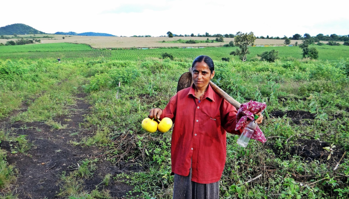 浦阳桃北新村最新疫情：你需要了解的全面信息