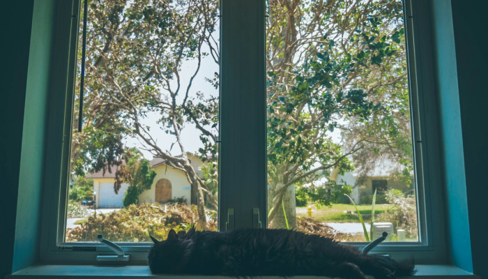 福建盛田疫情最新通报：让我们共同携手，战胜疫情